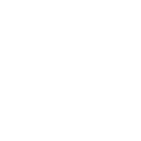 Zyn